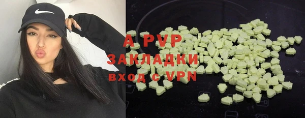 шишки Армянск
