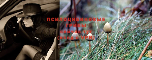 гидра Баксан